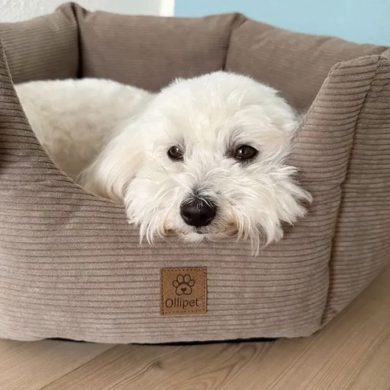 Bestsellers|Hundesenge^Ollipet Nordic Star Hundekurv