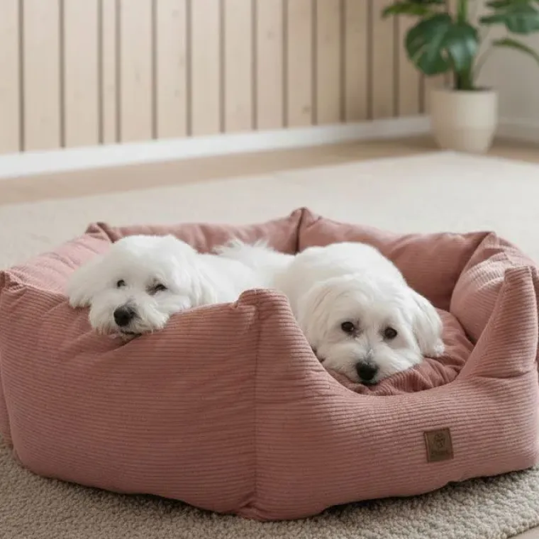 Bestsellers|Hundesenge^Ollipet Nordic Star Hundekurv