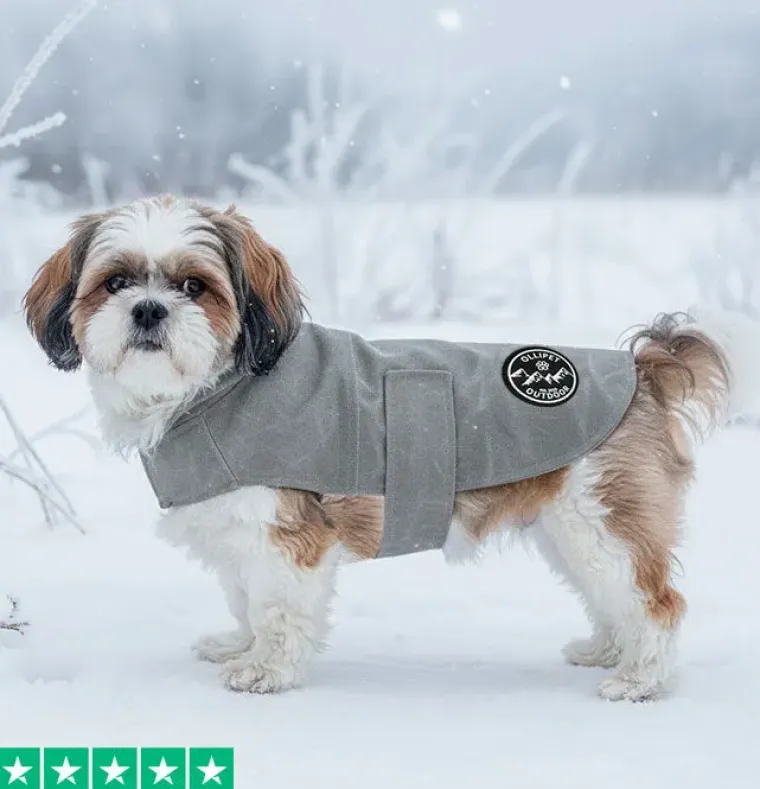 Efterårsklar|Hundetøj^Ollipet Outdoor Windbreaker