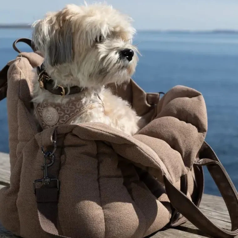 Hundetaske|Autostol Til Hunde^Ollipet Paris City Bag 3i1