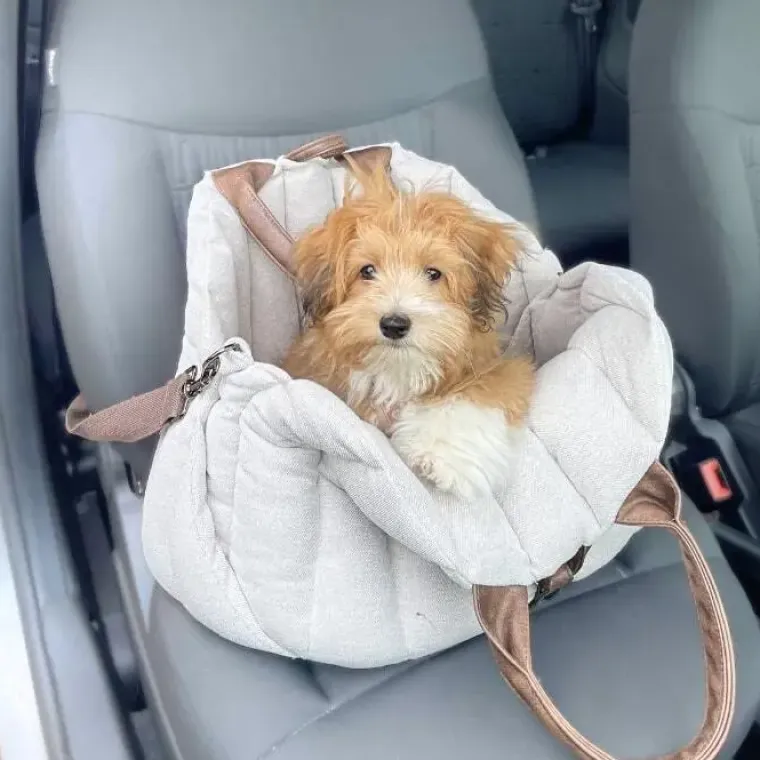Hundetaske|Autostol Til Hunde^Ollipet Paris City Bag 3i1