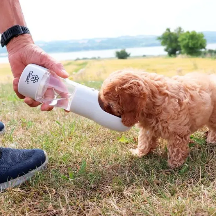 Hundeferien|Madskål Og Vandskål^Ollipet Pet Water Cup | 2i1