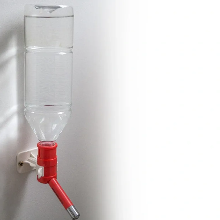 Madskål Og Vandskål^Cotonshoppen Ollipet Plastflaske til Pet water feeder