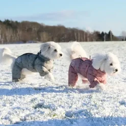 ❄️Klar Til Vintervejret|Hundetøj^Ollipet Polar Flyverdragt