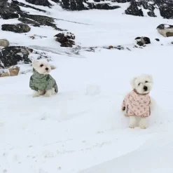 ❄️Klar Til Vintervejret|Efterårsklar^Ollipet Polar Vinterjakke