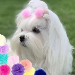 Hårpynt Til Hunde^Ollipet Pompom hårpynt