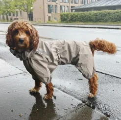 ❄️Klar Til Vintervejret|Hundetøj^Ollipet Poncho Regndragt | Khaki