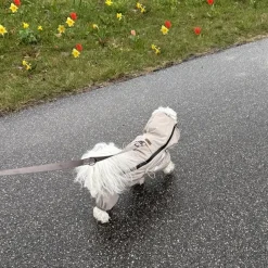 ❄️Klar Til Vintervejret|Hundetøj^Ollipet Poncho Regndragt | Khaki