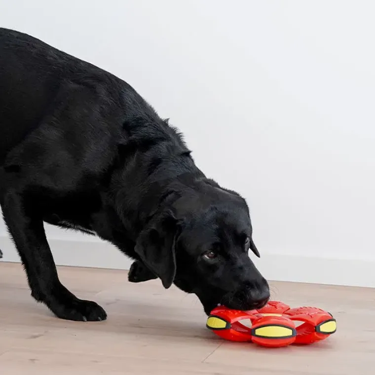 Bolde|Ollipet Hundelegetøj^Ollipet Power Frisbee Ball