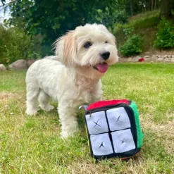 Aktivitetslegetøj Til Hunde|Plyslegetøj Til Hunde^Ollipet Professorterning | Snuselegetøj
