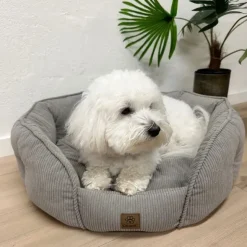 Bestsellers|Hundesenge^Ollipet Quinn hundeseng