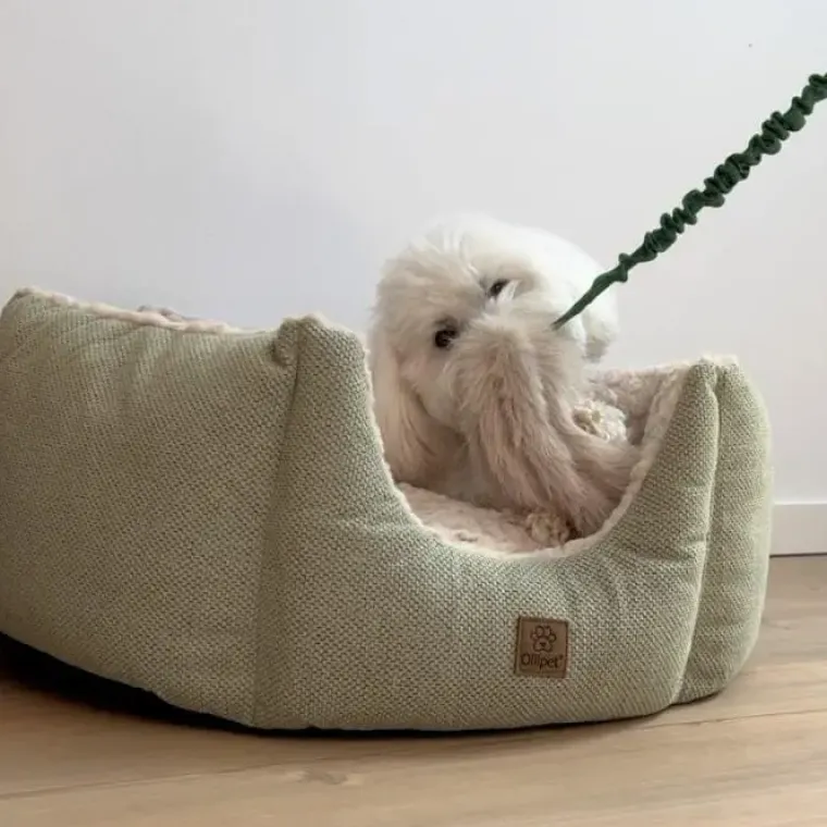 Belønningslegetøj|Separationsangst^Ollipet Rabbit Tail Bungee | Belønningslegetøj