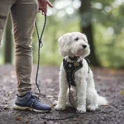 Løbeturen|Hundesnor^Ollipet Reflekshundesnor i Reb