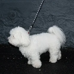 Løbeturen|Hundesnor^Ollipet Reflekshundesnor i Reb