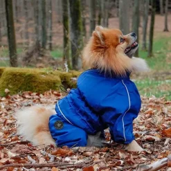 ❄️Klar Til Vintervejret|Hundetøj^Ollipet regndragt til hunde | Color Collection | OUTLET