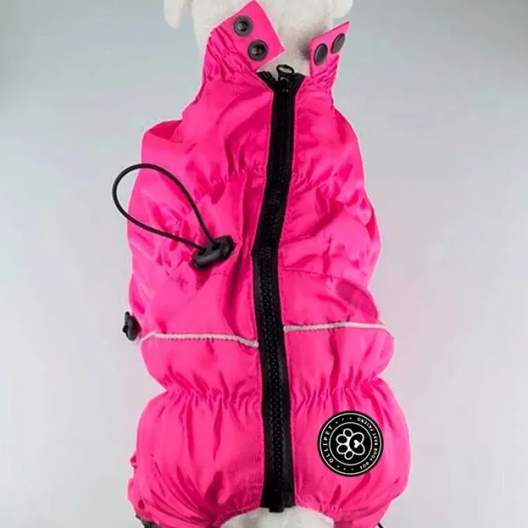 ❄️Klar Til Vintervejret|Hundetøj^Ollipet regndragt til hunde | Color Collection | OUTLET