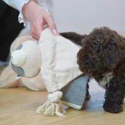 Ollipet Hundelegetøj|Plyslegetøj Til Hunde^Ollipet Rocky Raccoon | Hundelegetøj