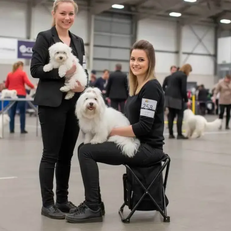 Hundetaske|Rygsæk Til Hunde^Ollipet Rygsæk og Klapstol i ét | m. køletaske