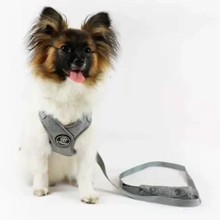 Hundeseler^Ollipet Seoul Step-in Sele + Line | OUTLET