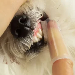 Til Opdrættere^Ollipet Silikone fingertandbørste
