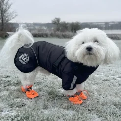 Hvalpetøj|❄️Klar Til Vintervejret^Ollipet Sirius DeLuxe Dynejakke