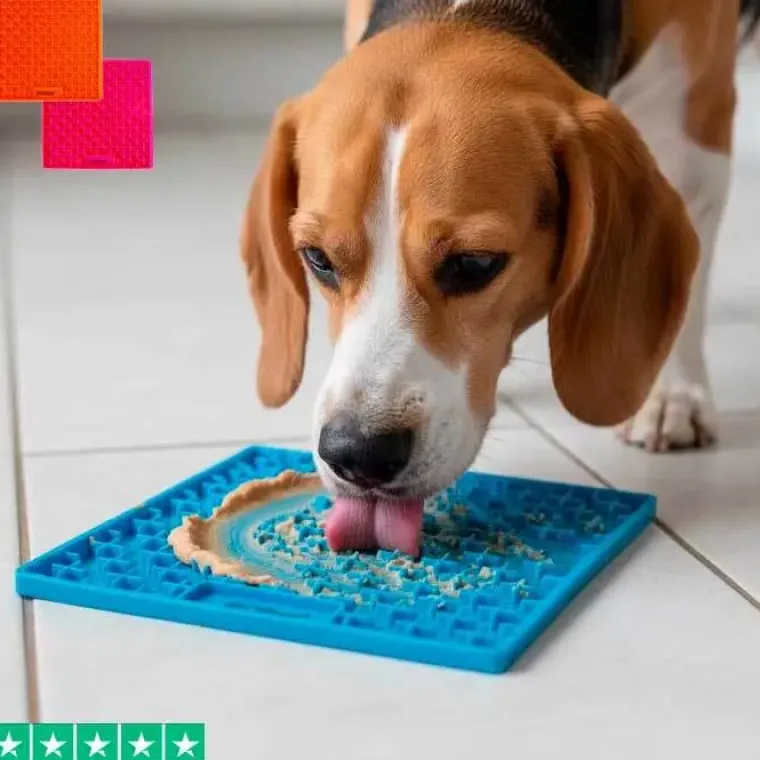 Aktivitetslegetøj Til Hunde|Ollipet Hundelegetøj^Ollipet slikkeplade med sugekopper