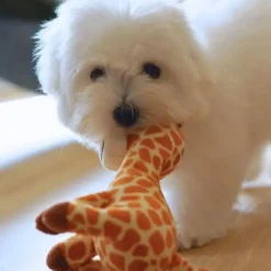 Hvalpelegetøj|Plyslegetøj Til Hunde^Ollipet Snuggle Buddies Baby Sally