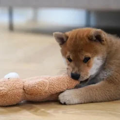 Hvalpelegetøj|Plyslegetøj Til Hunde^Ollipet Snuggle Buddies Teddy Bear