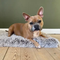 Separationsangst|Bestsellers^Ollipet Soft Cloud hundetæppe