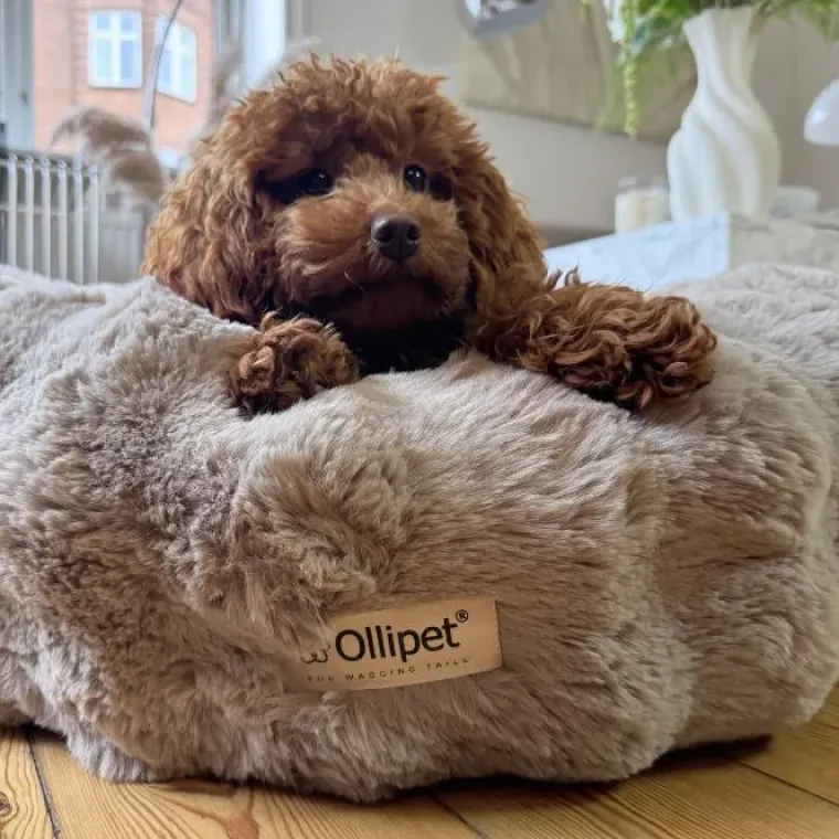 Hundesenge^Ollipet Soft Wave Luksus Donutseng | Khaki