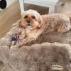 Hundesenge^Ollipet Soft Wave Luksus Tæppe | Khaki
