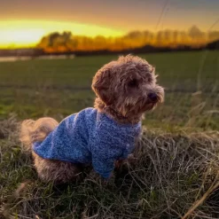 Hvalpetøj|Hundetøj^Ollipet Softy Hundetrøje | OUTLET
