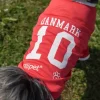 Hundetræning Og Klikker|Hundetøj^Ollipet Sports T-Shirt