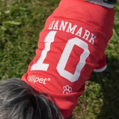 Hundetræning Og Klikker|Hundetøj^Ollipet Sports T-Shirt