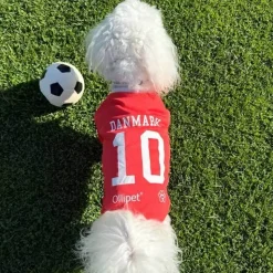Hundetræning Og Klikker|Hundetøj^Ollipet Sports T-Shirt