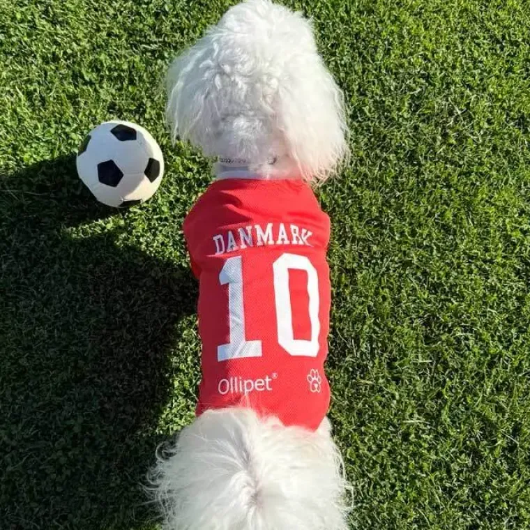 Hundetræning Og Klikker|Hundetøj^Ollipet Sports T-Shirt