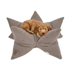 Bestsellers|Hundesenge^Ollipet StarNest Hundeseng | Fløjl