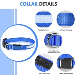 Hundehalsbånd|Løbeturen^Ollipet The Stripe LED Collar | Halsbånd med lys