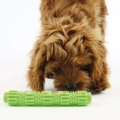 Aktivitetslegetøj Til Hunde|Ollipet Hundelegetøj^Ollipet Toothbrush Tube| 2 størrelser