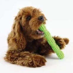 Aktivitetslegetøj Til Hunde|Ollipet Hundelegetøj^Ollipet Toothbrush Tube| 2 størrelser