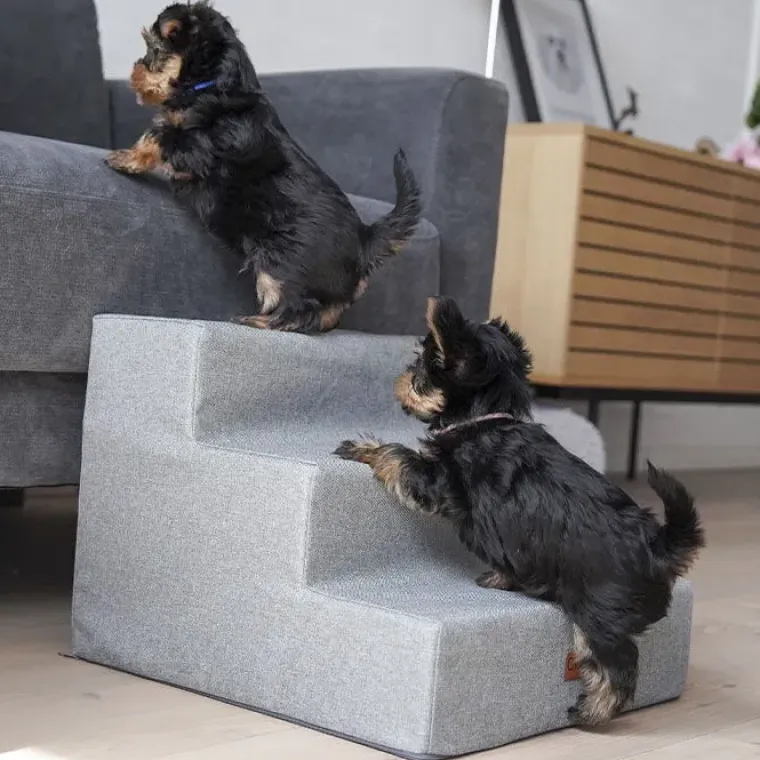 Hundetrapper & Hunderamper^Ollipet Up Stairs | Hundetrappe