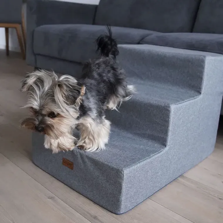 Hundetrapper & Hunderamper^Ollipet Up Stairs | Hundetrappe