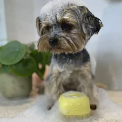 Pelsplejeredskaber|Hundeshampoo Og Hundebalsam^Ollipet Vaskebørste