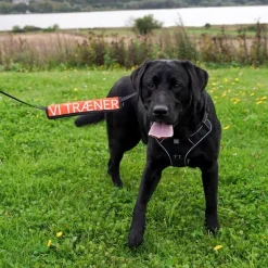 Hundetræning Og Klikker|Hundesnor^Ollipet VI TRÆNER Mærkat