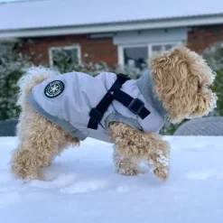 ❄️Klar Til Vintervejret|Efterårsklar^Ollipet Winter Sport | Jakke med sele og lynlås