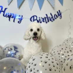 Gaveidéer Til Hundeelskeren|Nytårskurven^Ollipet Party Pakke Woof