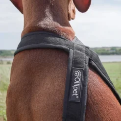 Hundeseler|Løbeturen^Ollipet X-Back Løbesele