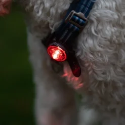 Løbeturen|Led Lys Og Refleks^Orbiloc Sikkerhedslygte