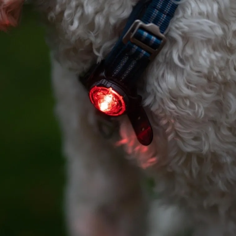 Løbeturen|Led Lys Og Refleks^Orbiloc Sikkerhedslygte