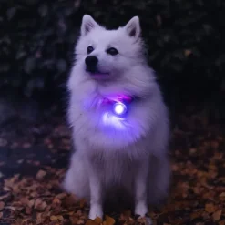 Løbeturen|Led Lys Og Refleks^Orbiloc Sikkerhedslygte